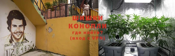 ПСИЛОЦИБИНОВЫЕ ГРИБЫ Нижний Тагил