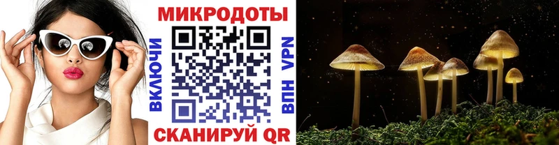 сколько стоит  Орехово-Зуево  МЕГА как войти  Псилоцибиновые грибы мицелий 