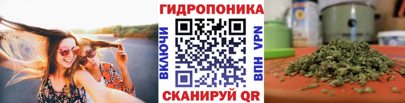 shop как зайти  Орехово-Зуево  Конопля OG Kush  закладки 